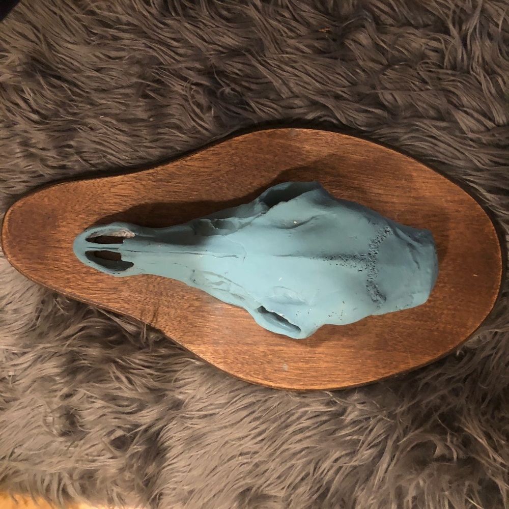 Deer skull/ antler holder